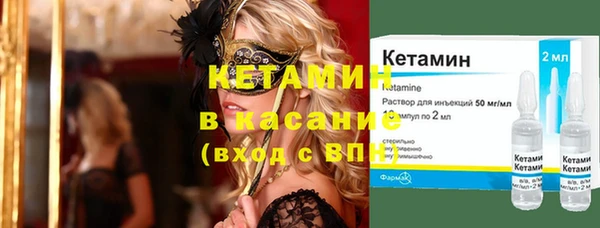 мет Ельня