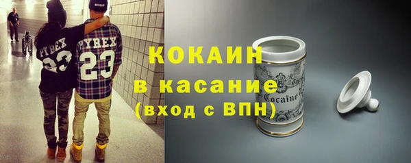 мет Ельня
