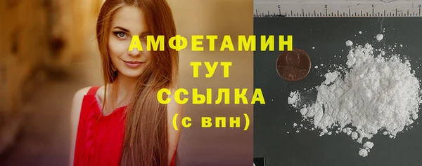 мет Ельня
