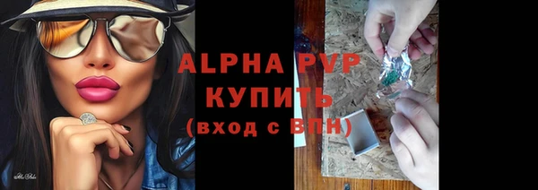 мет Ельня