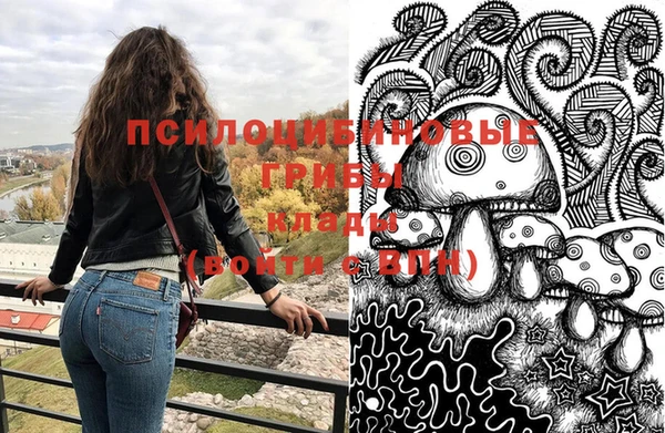 сатива Елизово