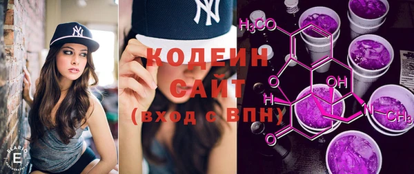 мет Ельня