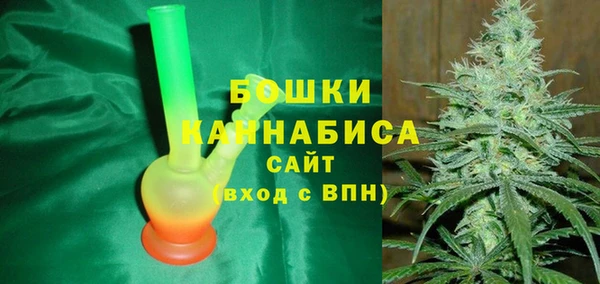 сатива Елизово