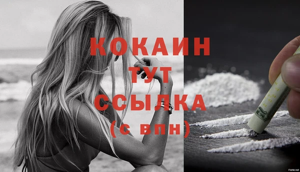 мет Ельня