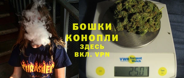 мет Ельня