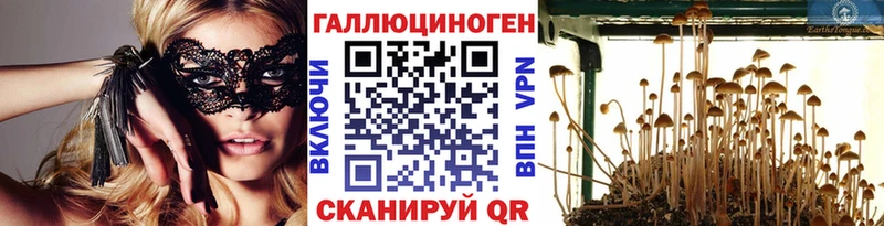 Псилоцибиновые грибы мухоморы  Купить закладки  Махачкала 